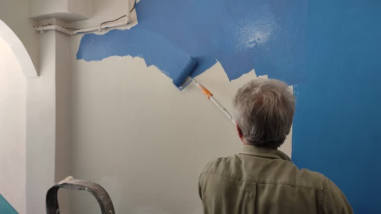 Best Eco-Friendly and Low-VOC Painting  in Ellisville, MO